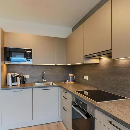 Kitzbueheler Alpenlodge A2 Und A3 Daire Mittersill